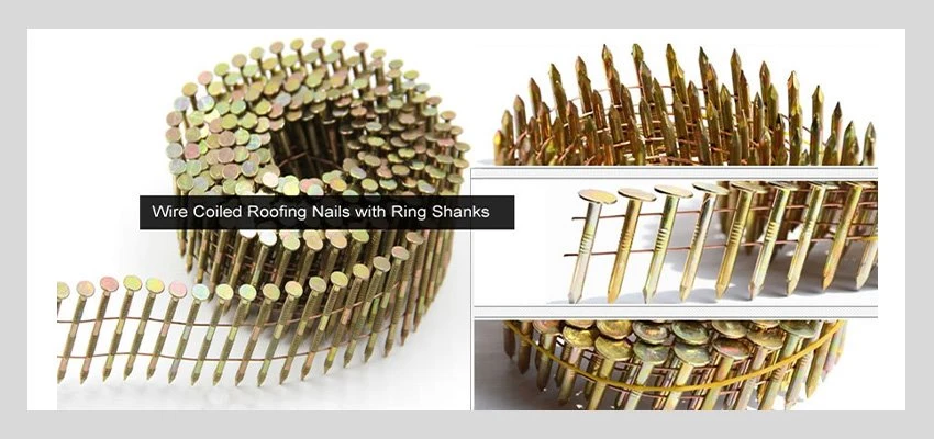 collated roofing nails details