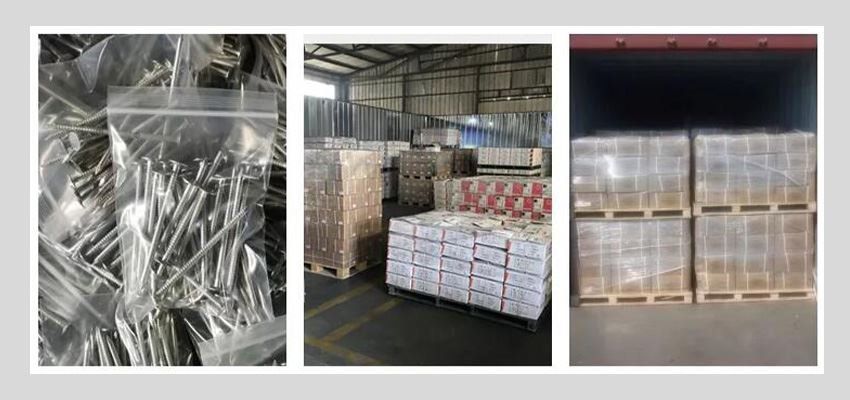 annular grooved nails loading shipment